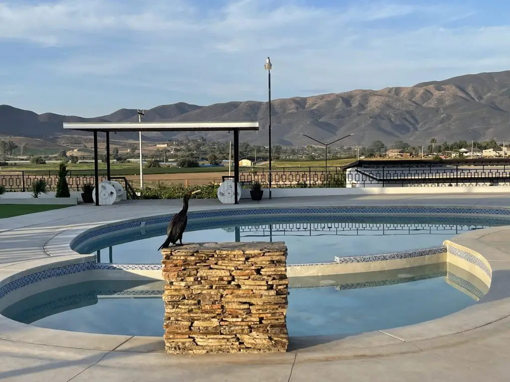 Pool with mountain views at Iboga Treatment Center in Ensenada, Mexico
