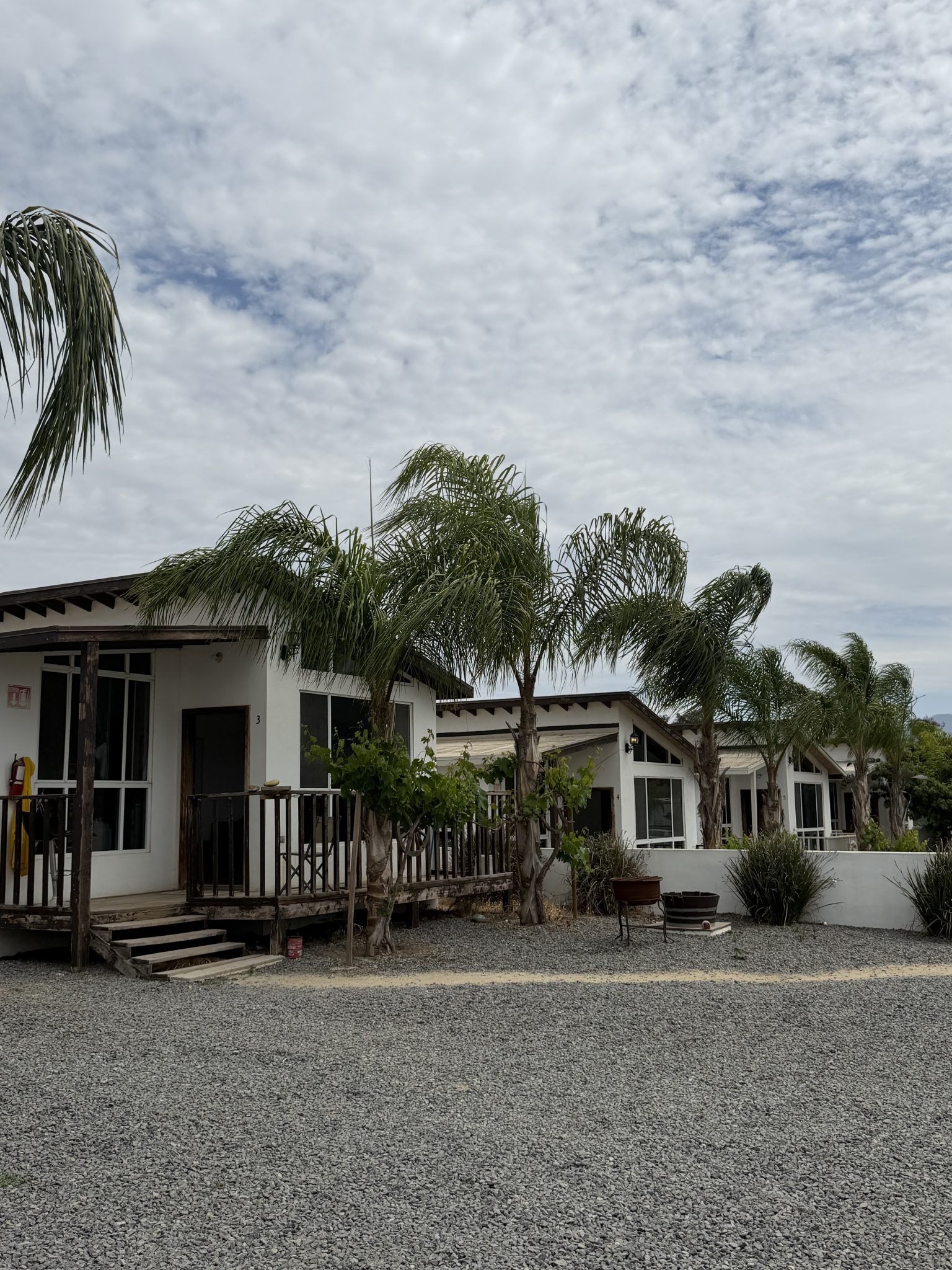 Guest casitas among palm trees at Iboga Treatment Center in Ensenada, Mexico