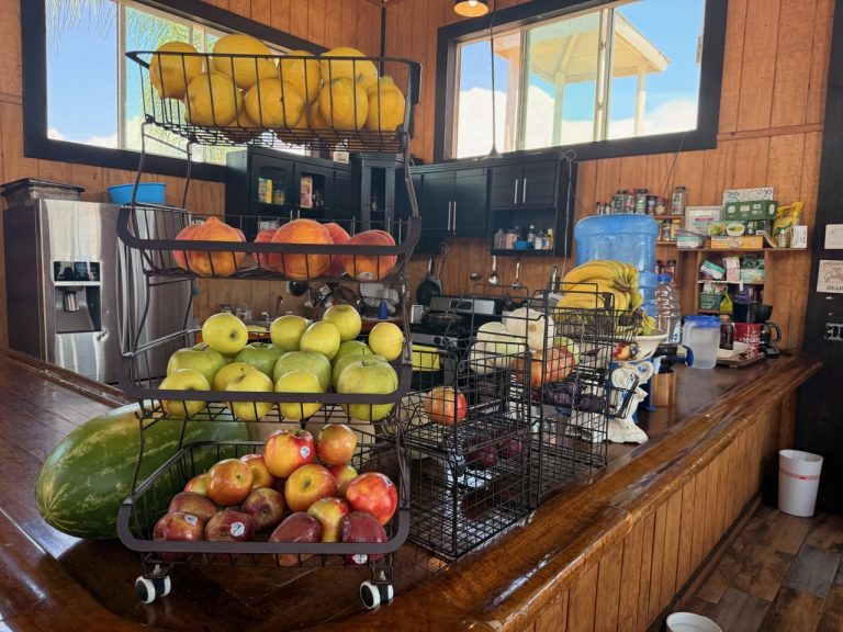 Fresh fruit set out for guests at Iboga Treatment Center in Ensenada, Mexico