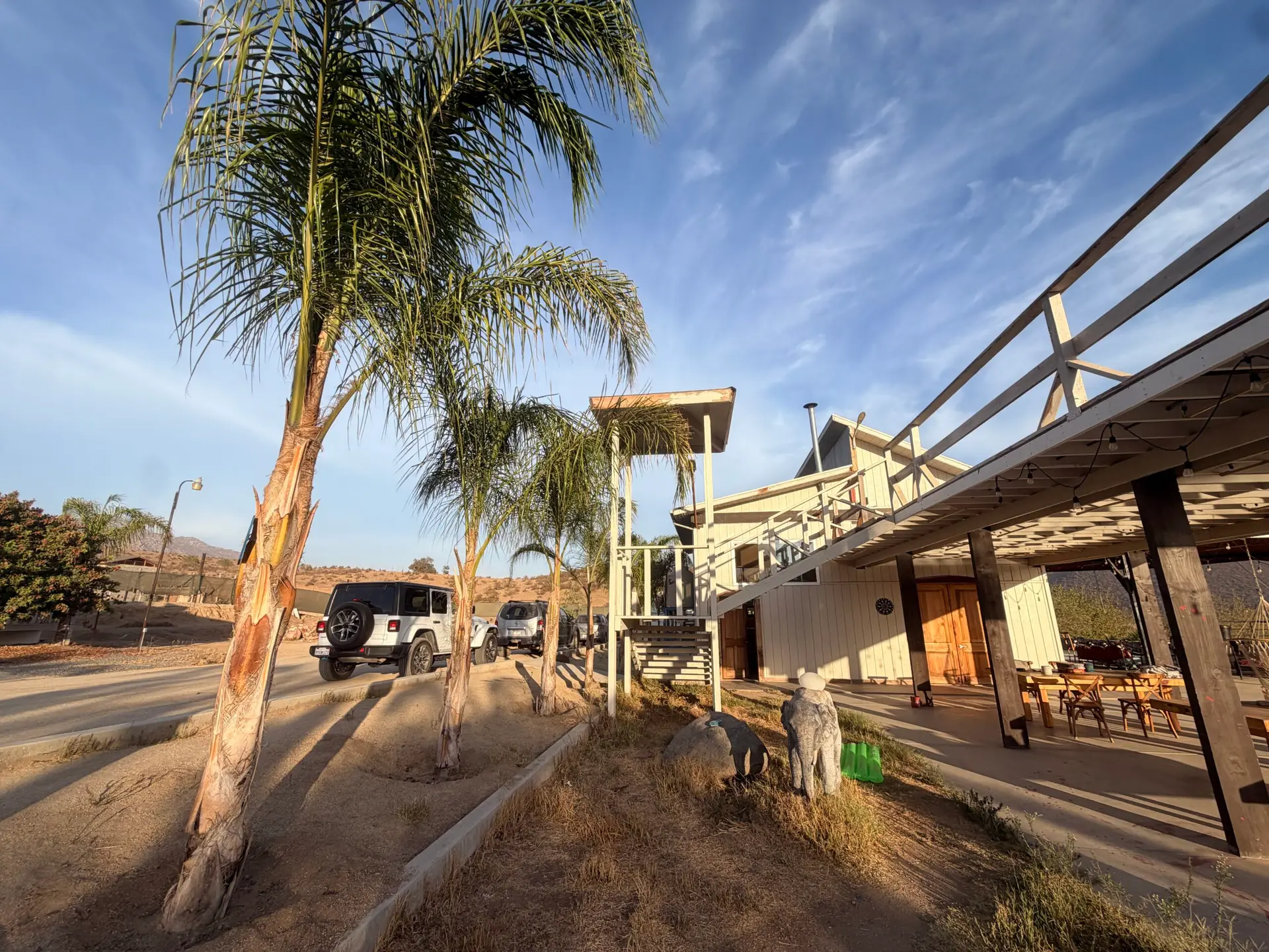 Palm trees outside the main building at Iboga Treatment Center in Ensenada, Mexico