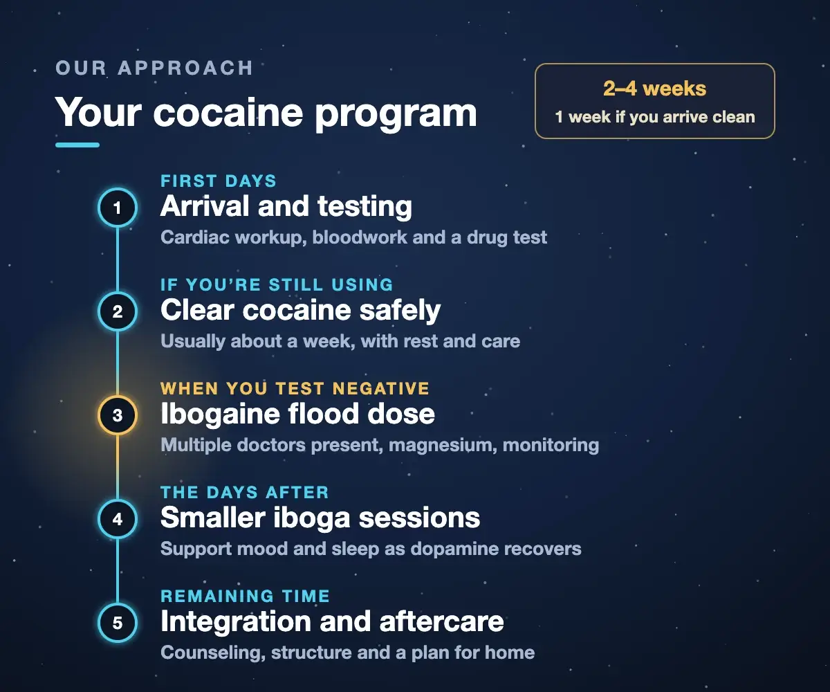 Cocaine rehab program steps at Iboga Treatment Center: arrival and testing, clearing cocaine safely, ibogaine flood dose after a negative test, smaller iboga sessions, integration and aftercare