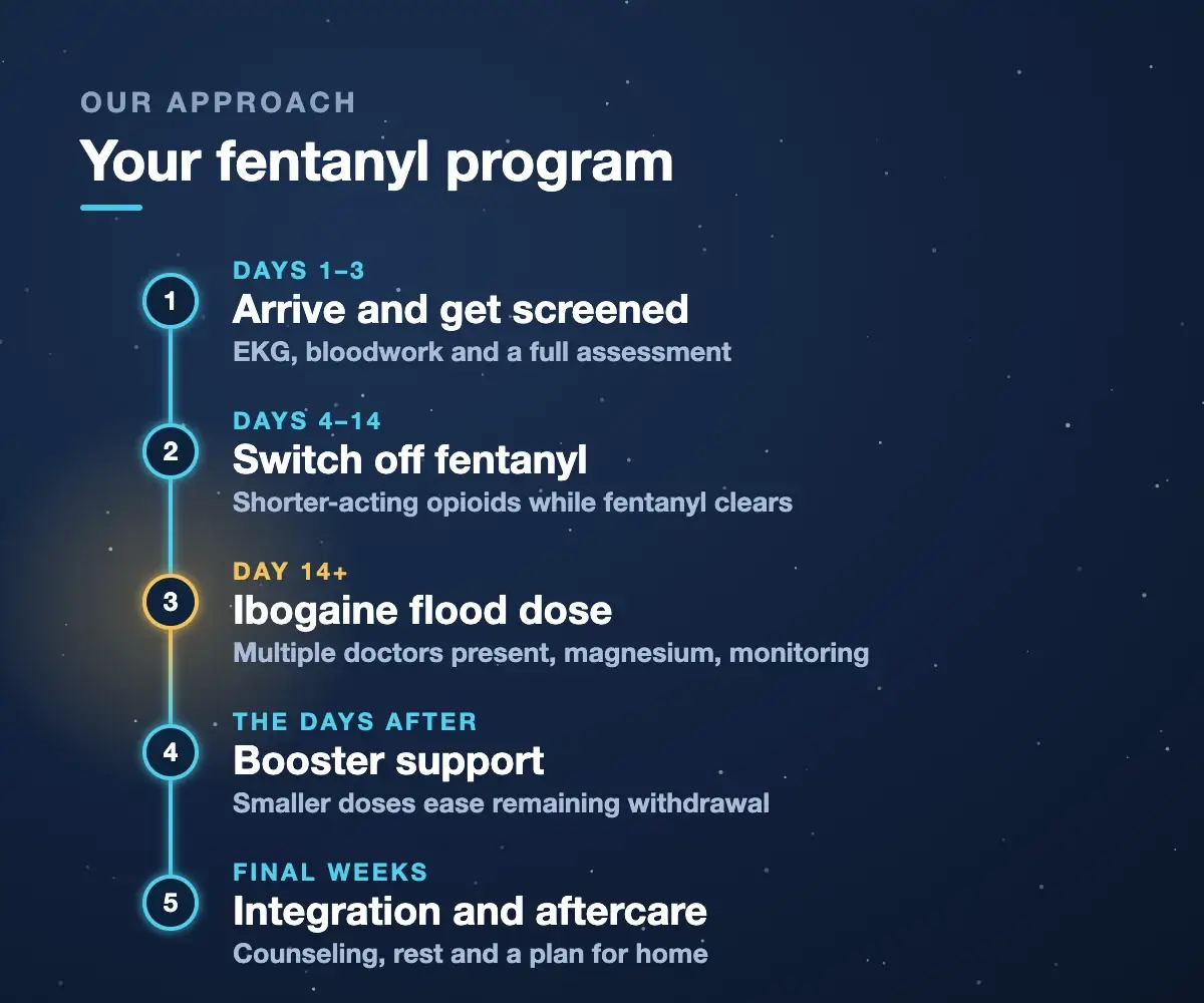 Fentanyl program steps at Iboga Treatment Center: days 1 to 3 arrive and get screened, days 4 to 14 switch off fentanyl to shorter-acting opioids, day 14 and after the ibogaine flood dose with doctors present, booster support, then integration and aftercare
