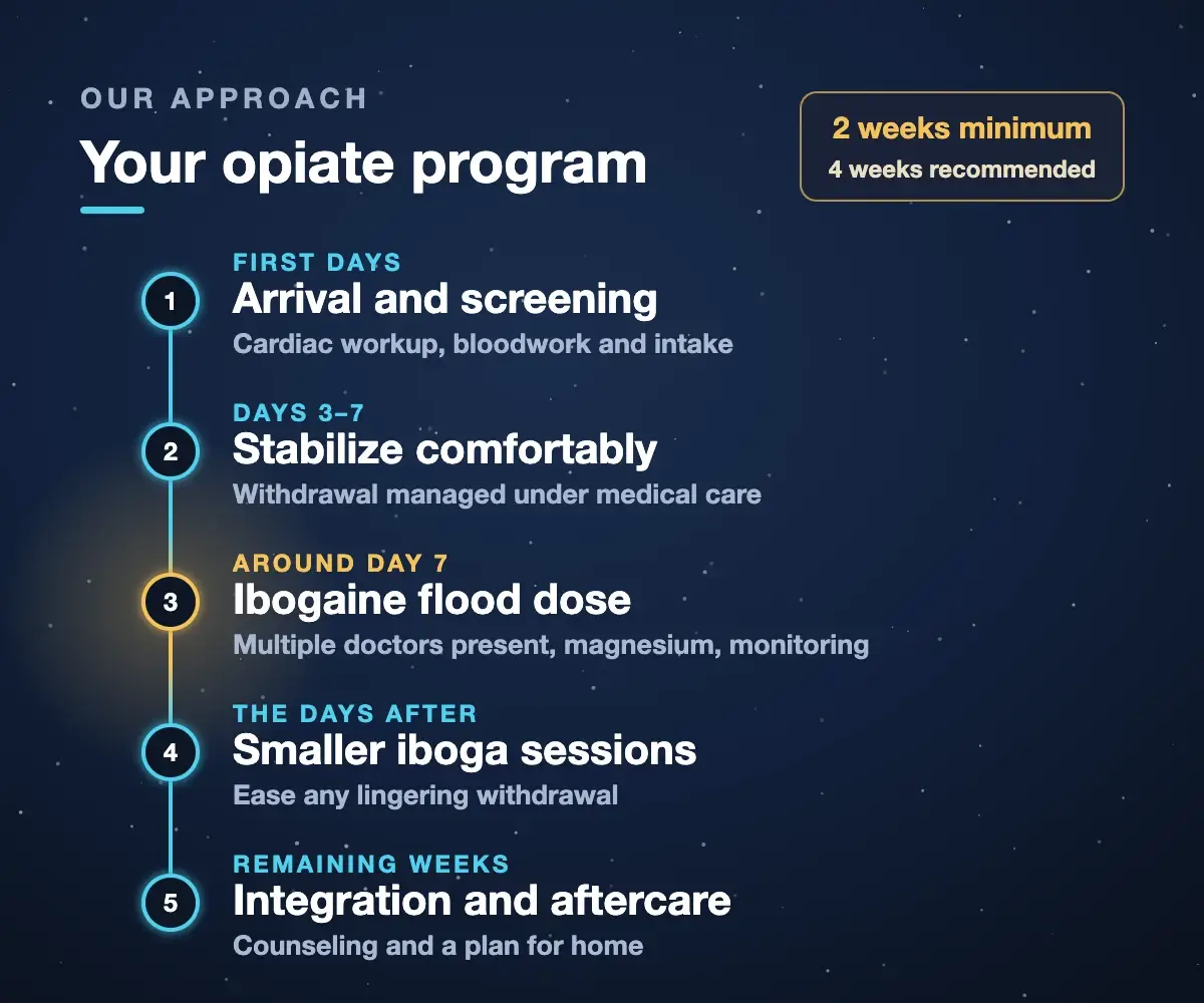 Opiate and heroin detox program steps at Iboga Treatment Center: arrival and screening, stabilization on days 3 to 7, ibogaine flood dose around day 7, smaller iboga sessions, integration and aftercare