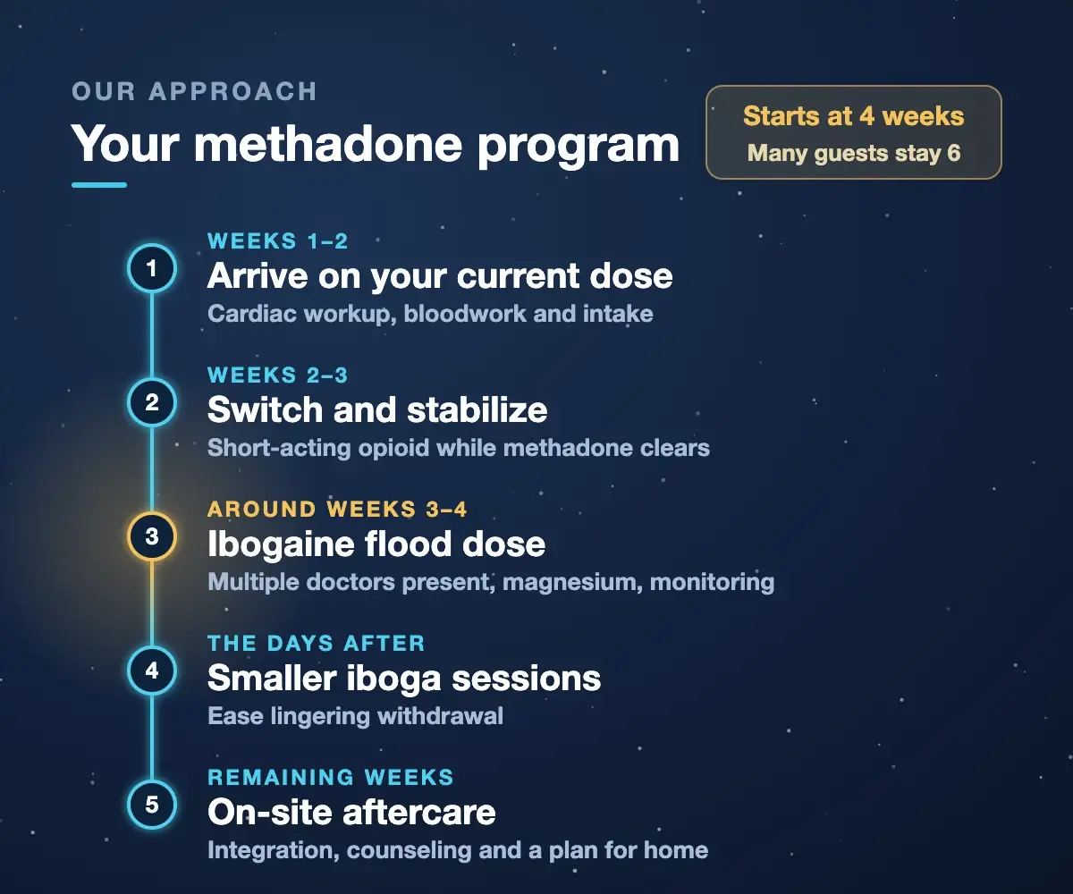 Methadone program steps at Iboga Treatment Center: arrive on your current dose, switch to a short-acting opioid and stabilize while methadone clears, ibogaine flood dose around weeks 3 to 4 with doctors present, smaller iboga sessions, then on-site aftercare. Programs start at 4 weeks and many guests stay 6.