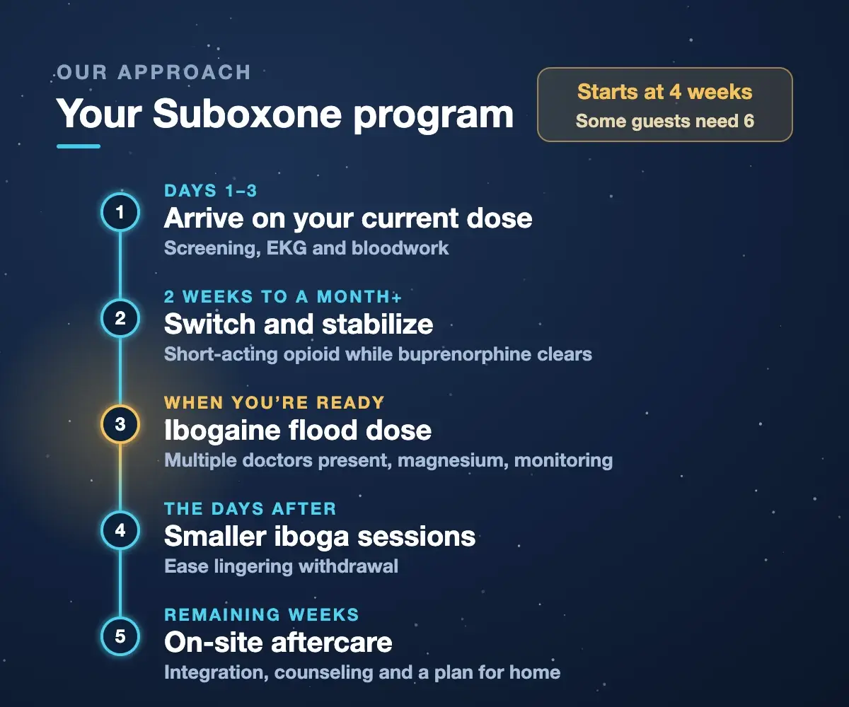 Suboxone program steps at Iboga Treatment Center: arrive on your current dose, switch to a short-acting opioid and stabilize for two weeks to a month or more, ibogaine flood dose with doctors present, smaller iboga sessions, then on-site aftercare. Programs start at 4 weeks and some guests need 6.