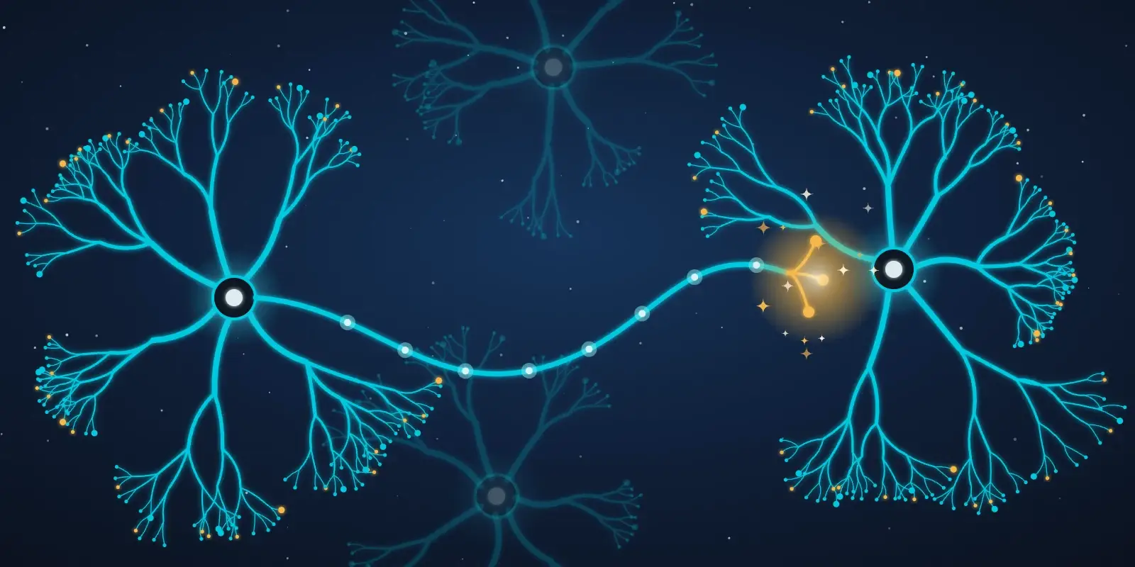Illustration of two neurons forming a new connection