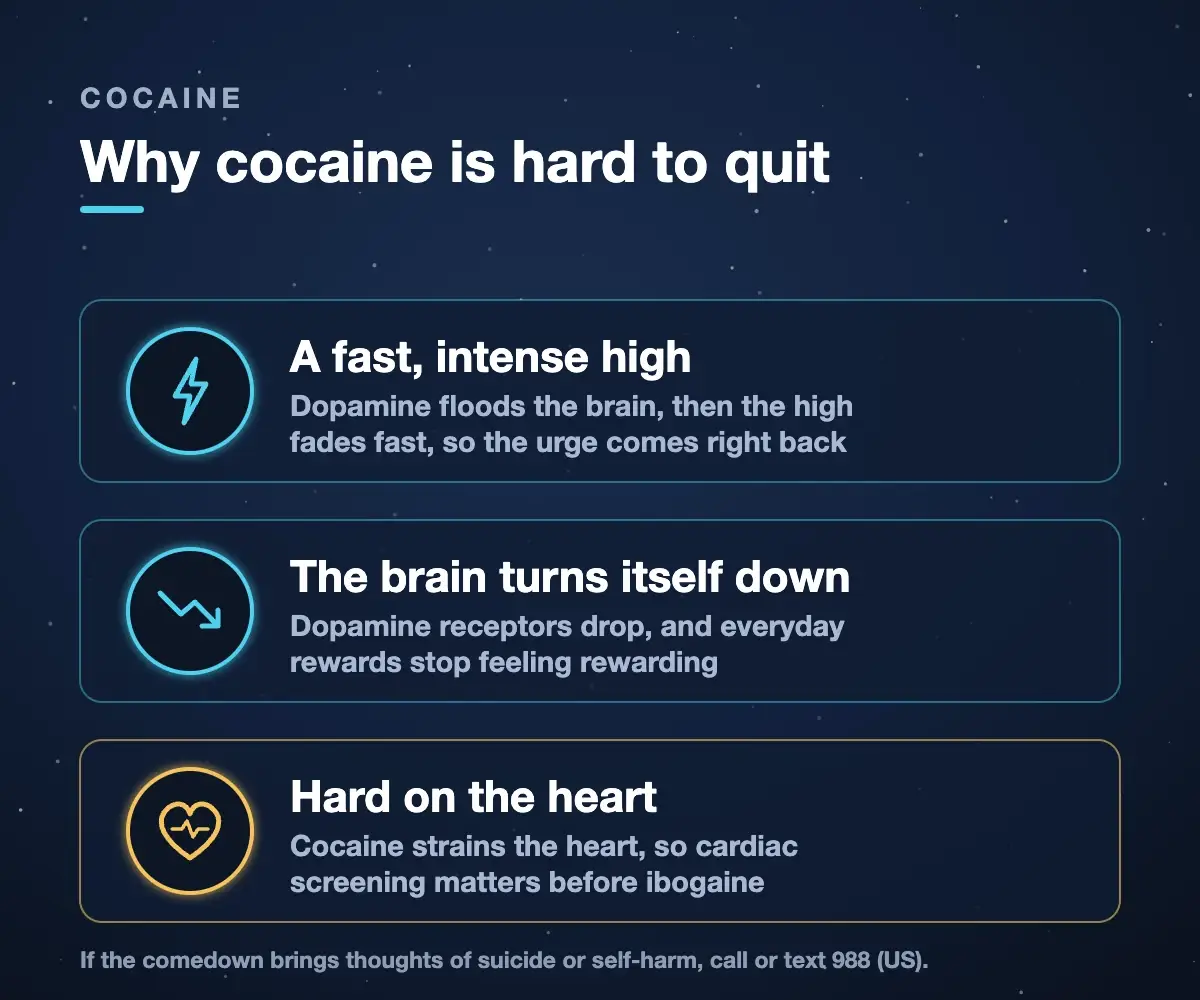 Why cocaine is hard to quit: a fast, intense high that fades quickly, the brain turns its dopamine system down, and cocaine is hard on the heart