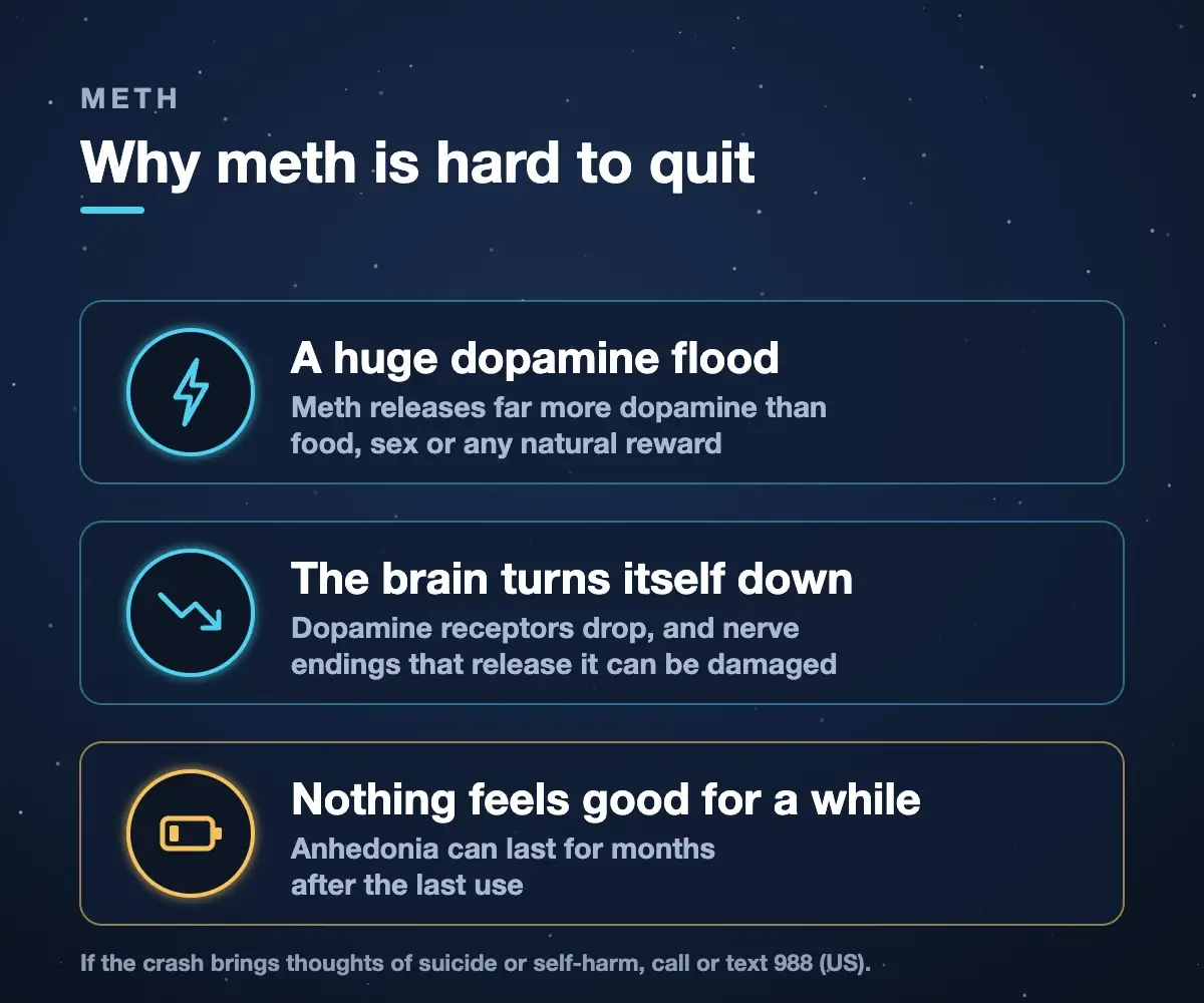 Why meth is hard to quit: a huge dopamine flood, the brain turns its dopamine system down, and nothing feels good for a while (anhedonia)